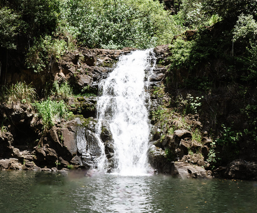 Waimea Park & Falls Tour | North Shore Activities