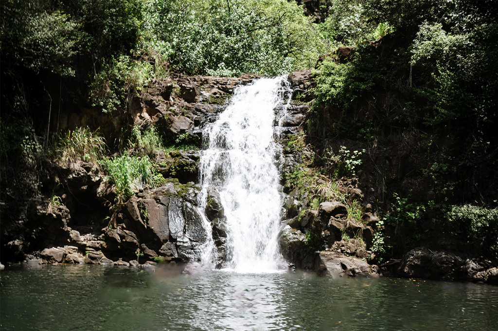 Waimea Park & Falls Tour | North Shore Activities