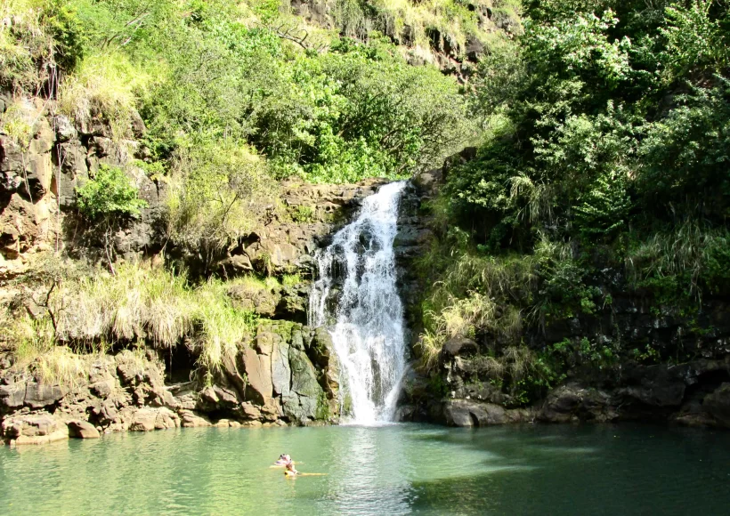 Waimea Falls in Oahu with a swimmer in the natural pool