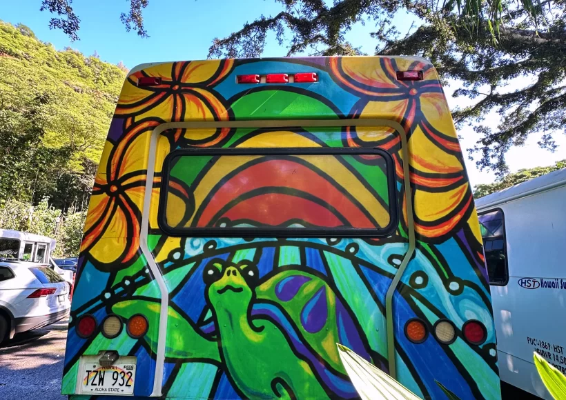 The colorful turtle mural on the back of the Surf Bus