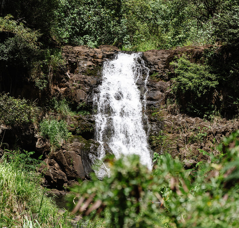 Oahu Circle Island Tour | The Surf Bus