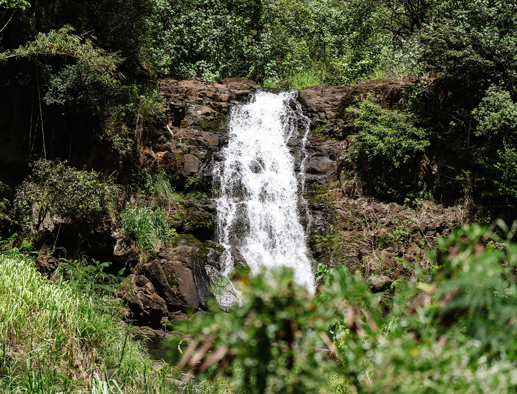Oahu Circle Island Tour | The Surf Bus