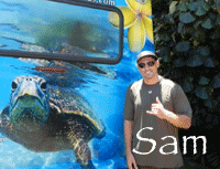 Sam Hamilton, The Surf Bus